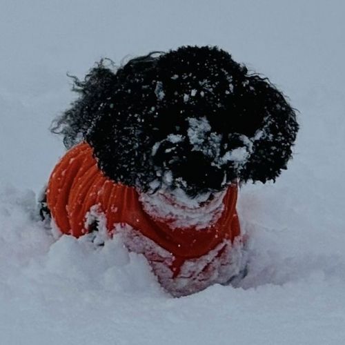 Skiclub Bad Griesbach