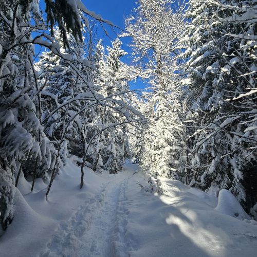 Skiclub Bad Griesbach