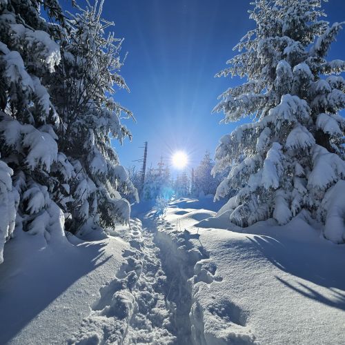 Skiclub Bad Griesbach