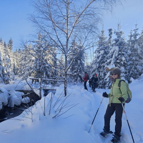 Skiclub Bad Griesbach