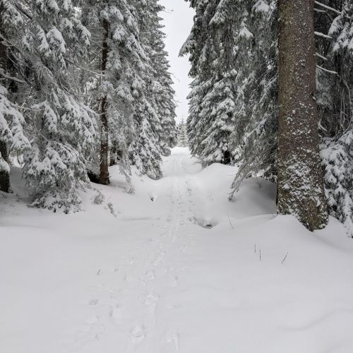 Skiclub Bad Griesbach